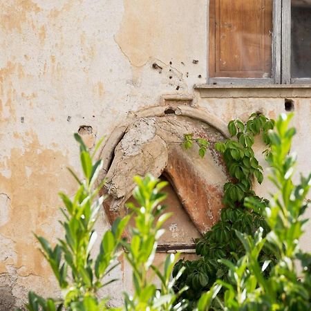 Апартаменти Domus Festina Lente Орв'єто Екстер'єр фото