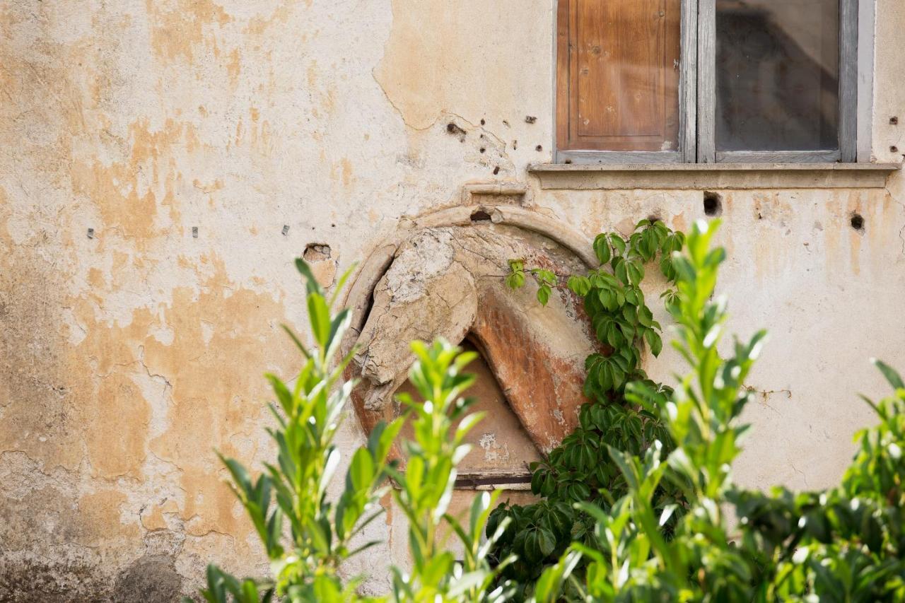 Апартаменти Domus Festina Lente Орв'єто Екстер'єр фото